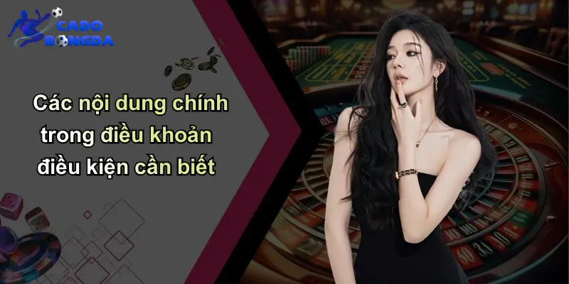 Các nội dung chính trong điều khoản điều kiện cần biết