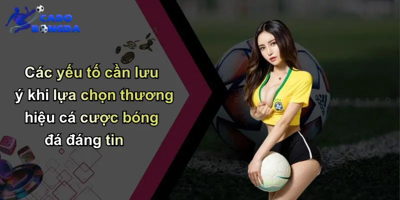 Các yếu tố cần lưu ý khi lựa chọn thương hiệu cá cược bóng đá đáng tin