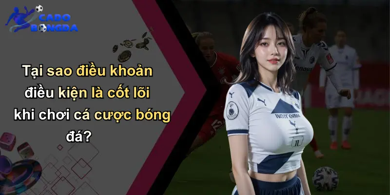Tại sao điều khoản điều kiện là cốt lõi khi chơi cá cược bóng đá?