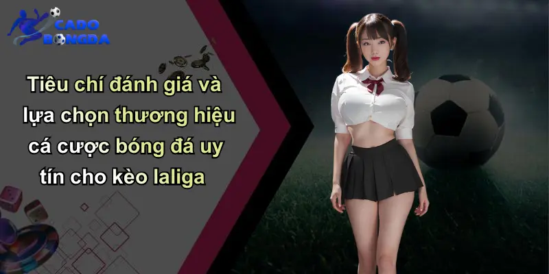 Tiêu chí đánh giá và lựa chọn thương hiệu cá cược bóng đá uy tín cho kèo laliga