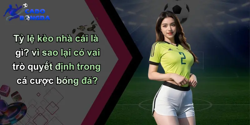 Tỷ lệ kèo nhà cái là gì? vì sao lại có vai trò quyết định trong cá cược bóng đá?
