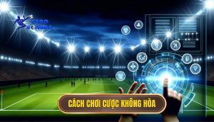 Cách chơi cược không hòa