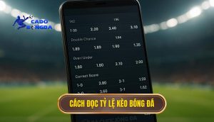 Cách đọc tỷ lệ kèo bóng đá