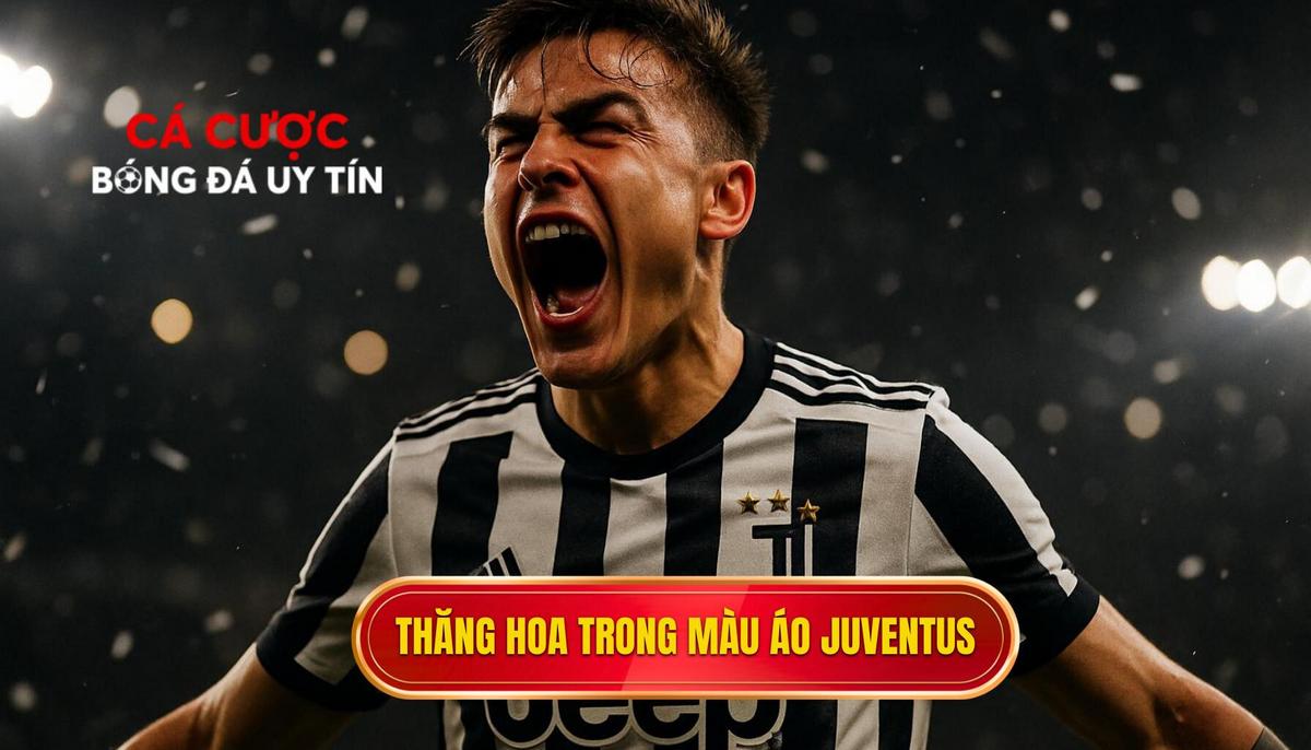 Sự nghiệp Paul Pogba: Bản hùng ca dang dở của một thiên tài bóng đá 3 Thăng hoa rực rỡ trong màu áo sọc trắng đen Juventus