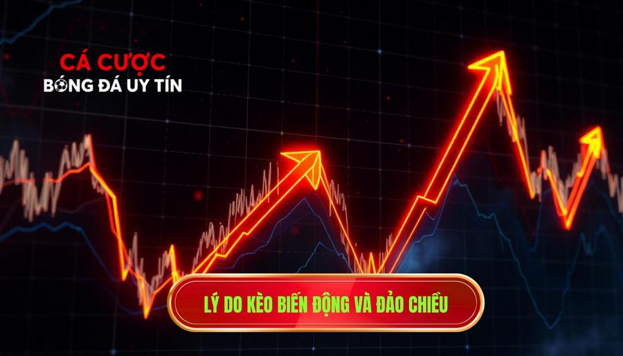 Lý do kèo biến động và đảo chiều