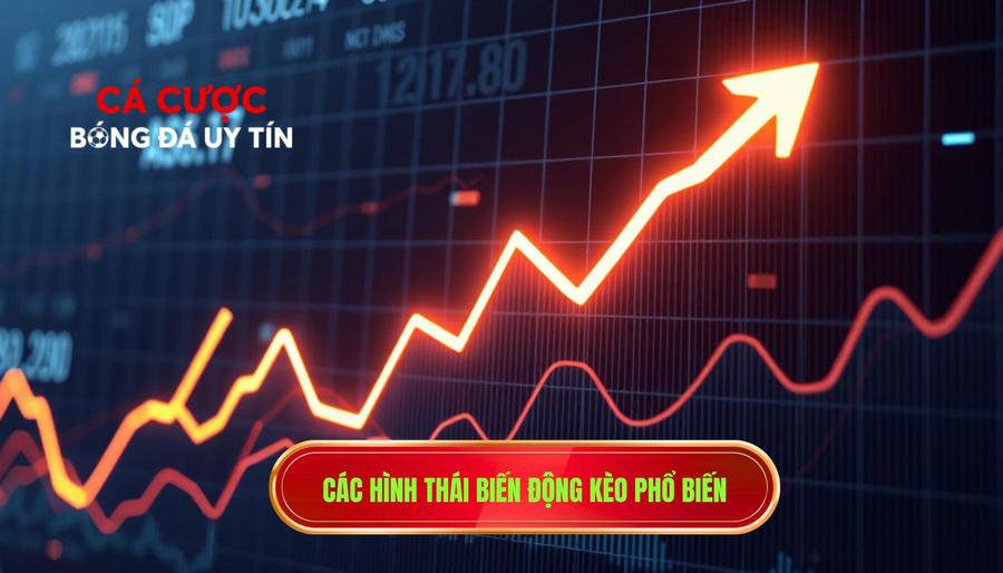 Các hình thái biến động kèo phổ biến